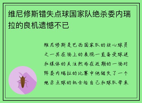 维尼修斯错失点球国家队绝杀委内瑞拉的良机遗憾不已
