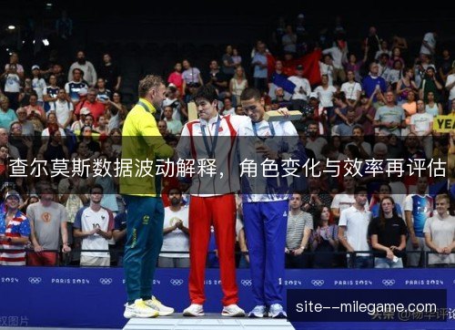 查尔莫斯数据波动解释，角色变化与效率再评估